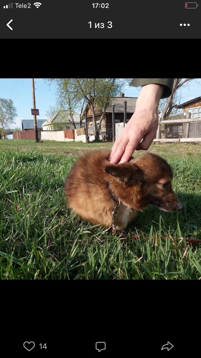 звали его раньше Шайтан...