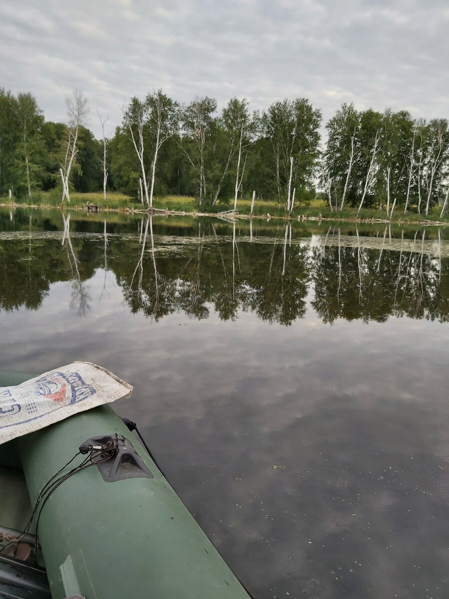 Мужчины (и не только), во всем мире любят рыбную ловлю.

Рыбалка, активный отдых на природе, чрезвычайно полезна для здоровья. Свежий воздух, особенная солнечная радиация, температурный режим, очень благотворно влияют на организм рыболова.

Общеоздоровительное действие рыбалки неоспоримо. Внешние факторы, действующие при этом, делим на две группы: микро - климатические и физическая активность, связанная с ловом рыбы.

Свежий воздух, насыщенный брызгами, запахами растительности, он очищает кожу, улучшая ее дыхание. Ветер обдувает кожу, удаляя ее выделения, очищает посредством действия фитонцидов, биологически активных веществ растений. Вдыхание этого уникального воздуха сравнимо с целебной ингаляцией.



Температурный режим позитивно влияет на температуру собственного тела, на кровообращение, гемодинамику, потоотделение, мышечный тонус.

Физическая активность. Кажется, что активность рыболова минимальна: рыбак закинул удочку и терпеливо ждет клева, но место надо выбрать, водоем обойти, установить снасти, забросить ту же удочку. Здесь, согласитесь, физическая активность, и не малая! А это хорошо для мышц, для координации движений, быстроты реакций.

Рыбалка и зрение. Регулярные занятия рыбной ловлей хорошо сказываются на остроте зрения, глазомере. Глаз приучается видеть подводную растительность, глубину, дно водоема, скрытое за зеркальной гладью. Зрение тренируется при распутывании лески, зацепившейся за коряги. При забросе удочки острота зрения и точность крайне важны. Всплески на поверхности воды, рябь, волны искажают картину перед глазами рыбака, и только тренированные глаза позволят видеть то, что необходимо видеть.