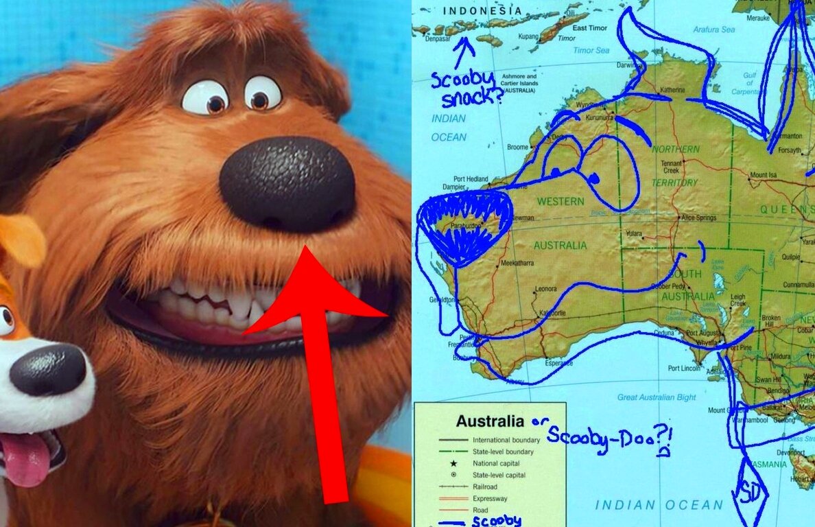 Картинка взята из открытых источников сети интернет