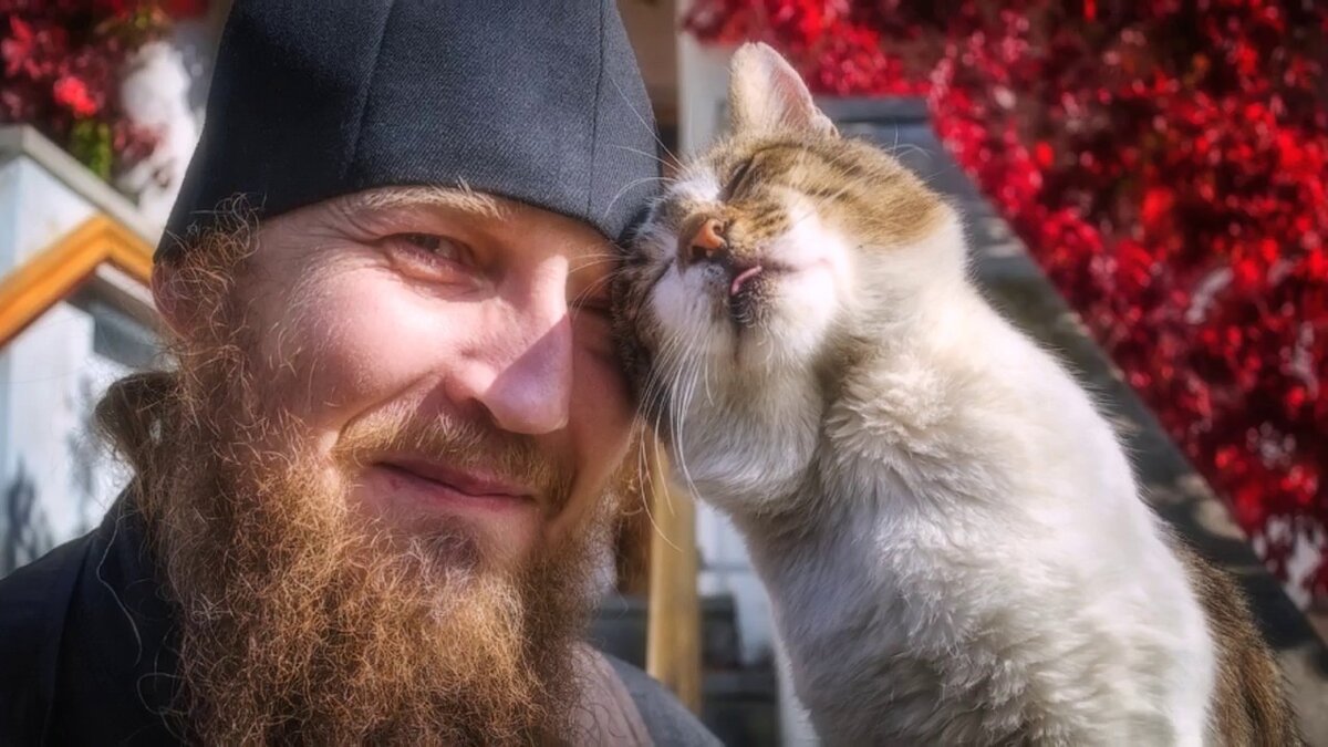 Батюшка с котом. Фото из открытых источников