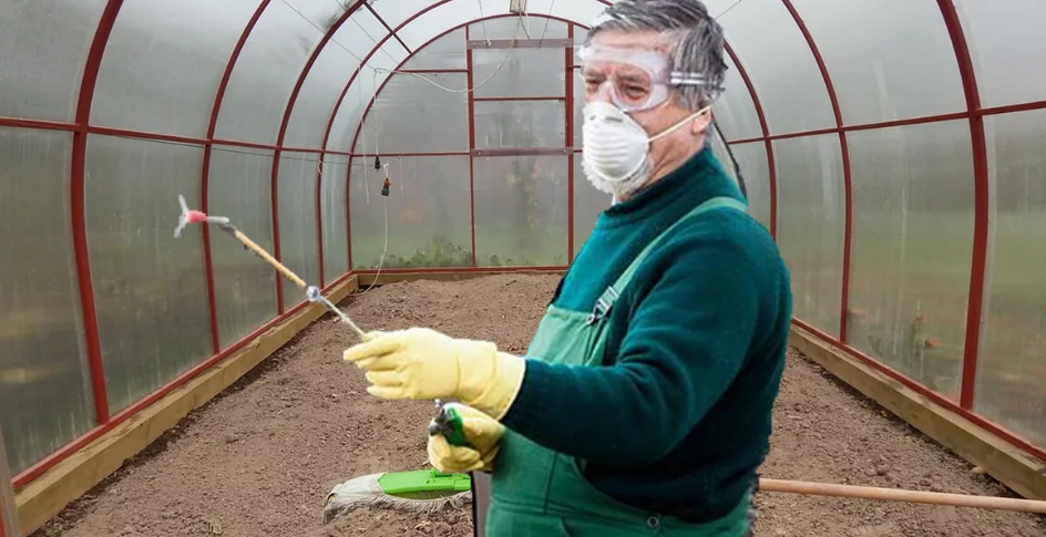 Фотография взята из источника  greentalk.ru