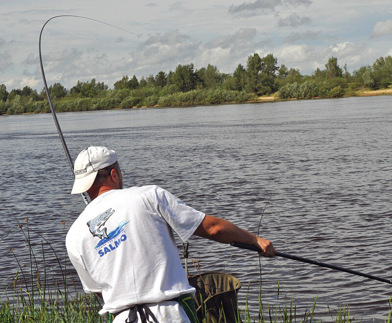 Гибкий хлыст маховой удочки - залог успеха