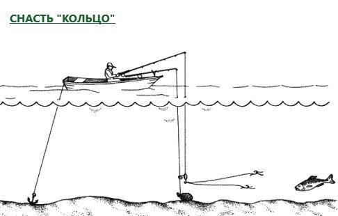 Ловля леща с лодки на кольцо