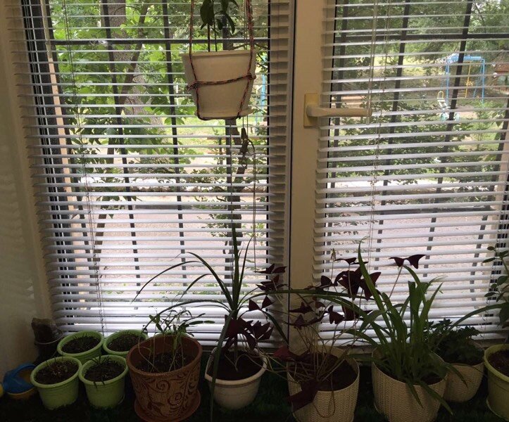 Личное фото.