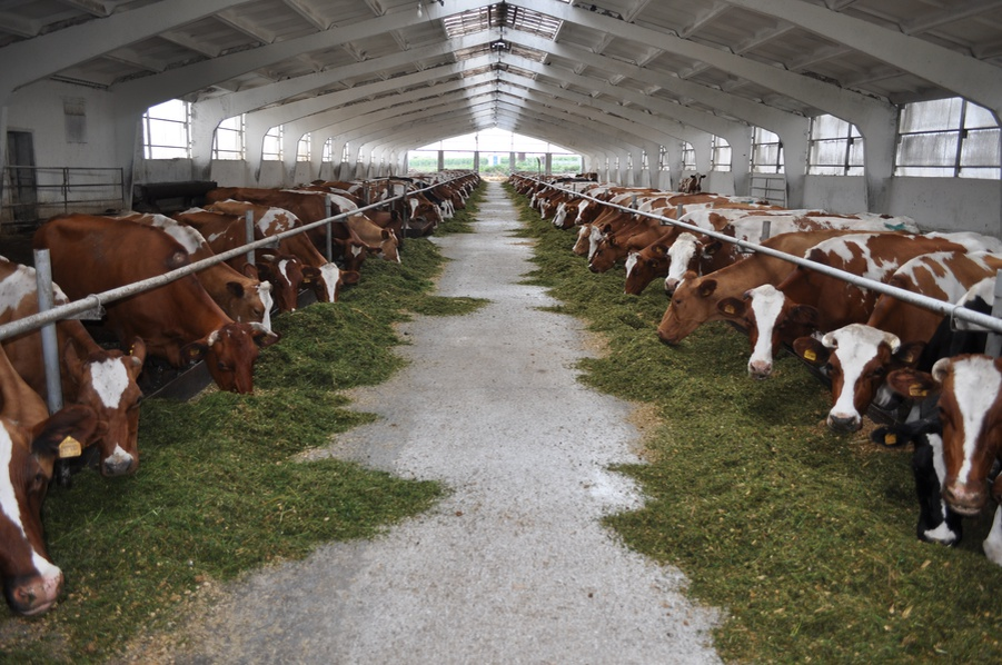 фото пресс-службы департамента АПК и ВОС Белгородской области