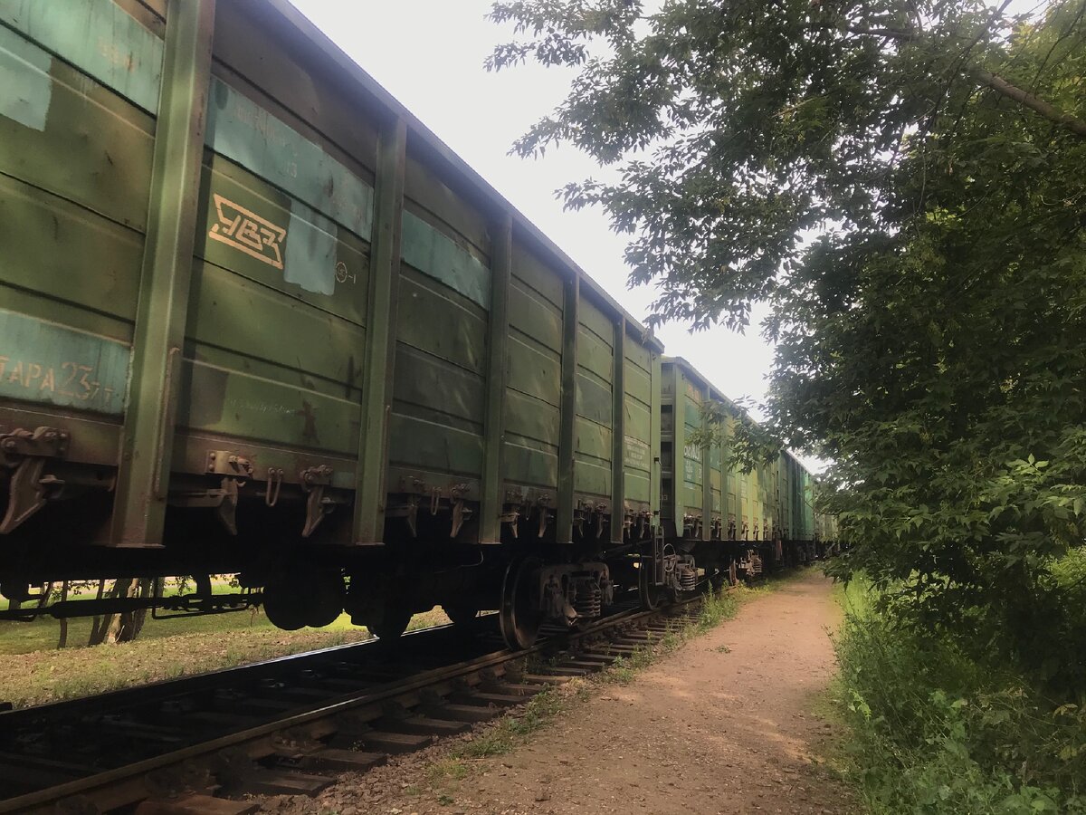 Вагоны с углём на ст. Обменная.