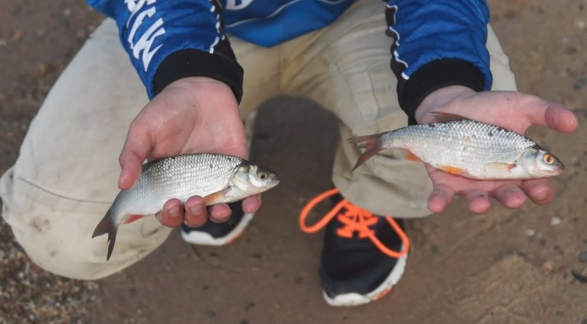 Фото с канала Johnatan Fisher