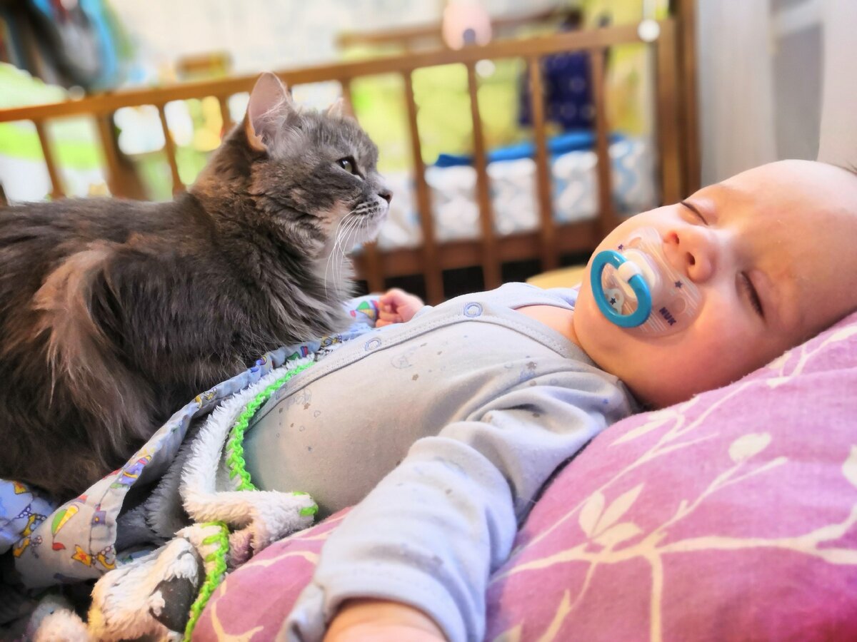 У неё особые отношения в младшим. Иногда создаётся ощущение, что Хэппи считает, что мой сын - вовсе НЕ мой.) 