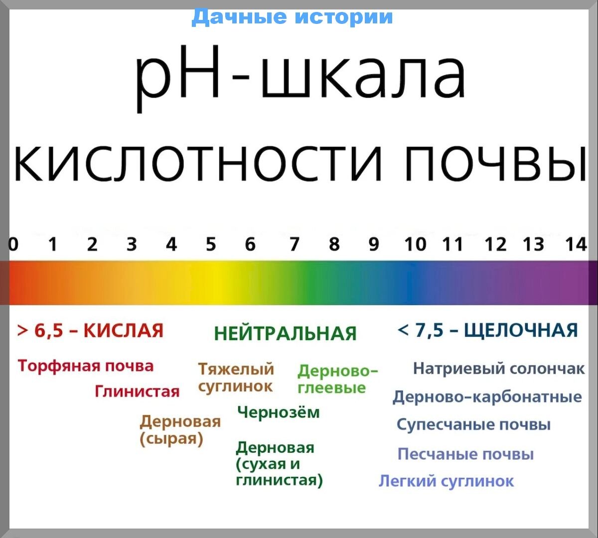 Агроприемы которые сделают из тяжелой глинистой почвы рыхлую и пригодную к  земледелию | Дачные истории | Дзен