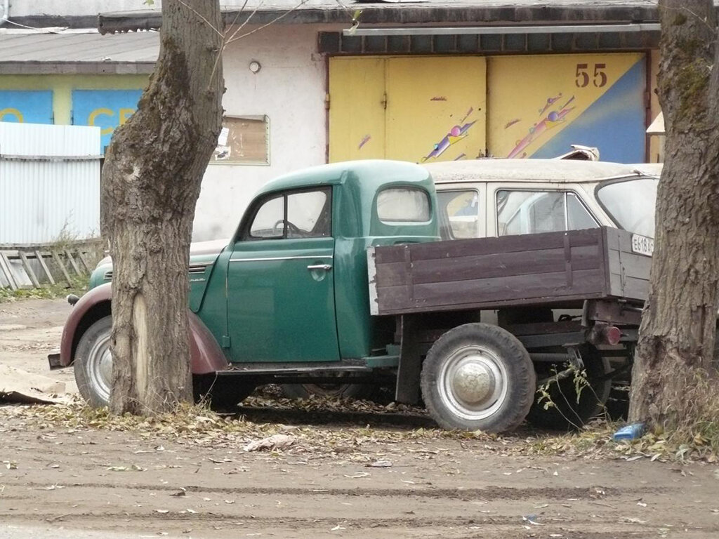 Слоны