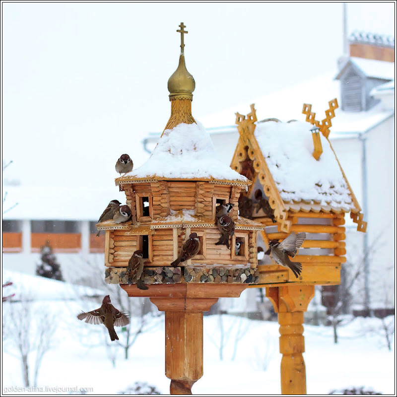 Кормушка для птиц в виде храма на церковной территории (фото из общедоступных интернет-ресурсов)