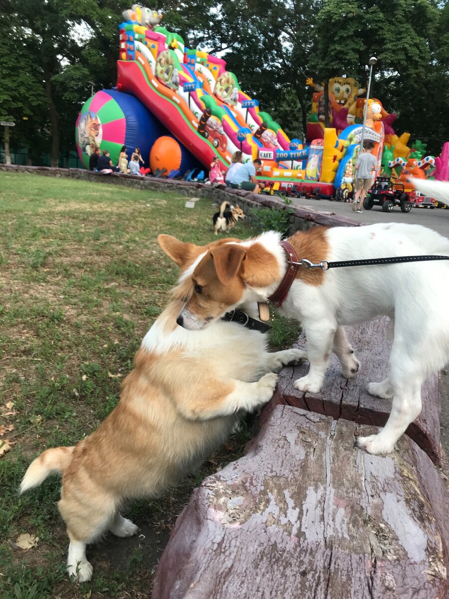 Знакомство