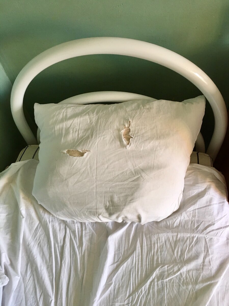 «Дырявым пациентам»-дырявые наволочки! Постельное белье в отделении Клинической инфекционной больницы имени С.П. Боткина