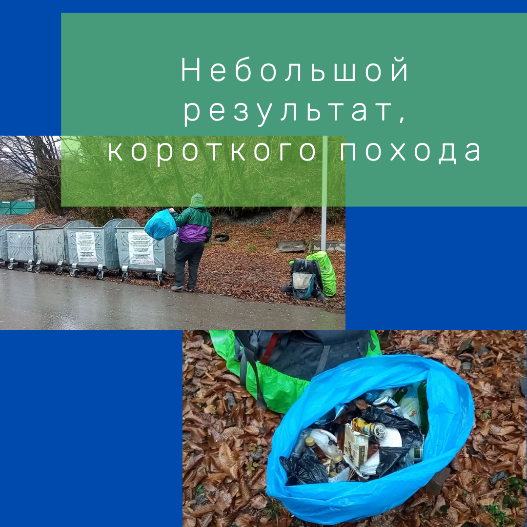 Выкинули собранный мусор в бак