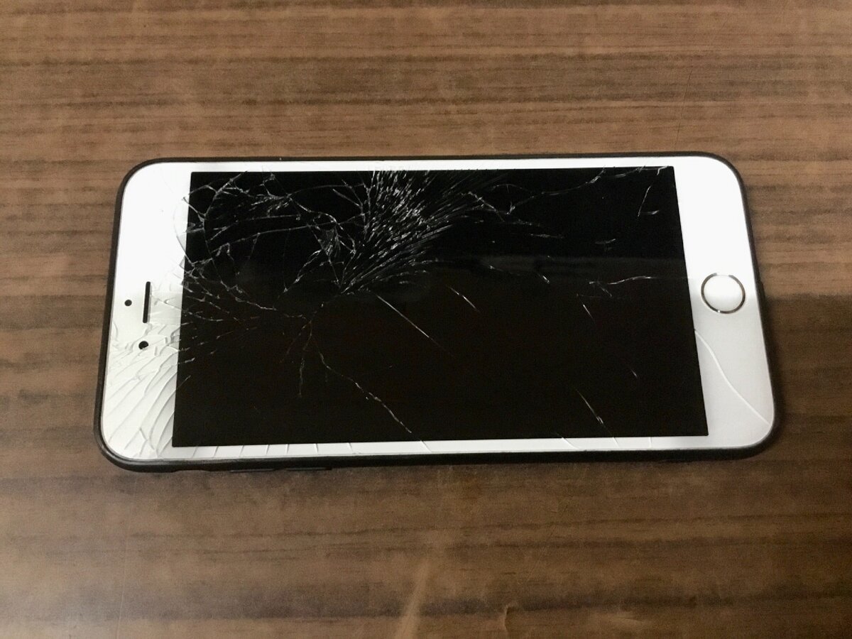 Не урожайный был тот год на «яблоки»