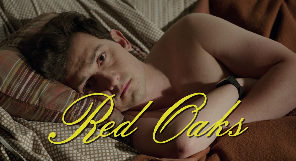 Кадр из сериала «Красные дубы» (2014-2017)