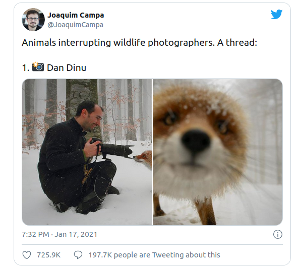 Источник: twitter.com/JoaquimCampa