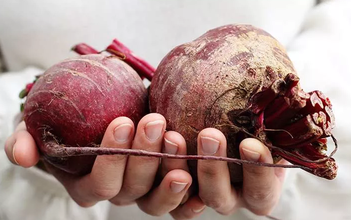 Фотография взята из источника vesti-ua.net