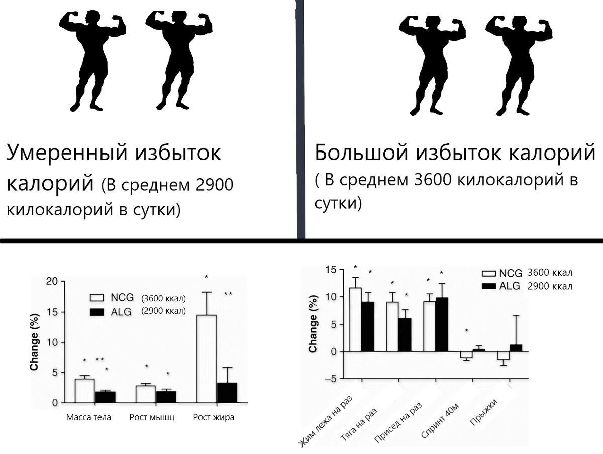 Как сохранять, или даже нарастить мышцы, сжигая жир? 5 научно-обоснованных  советов | Тренер Артём | Дзен