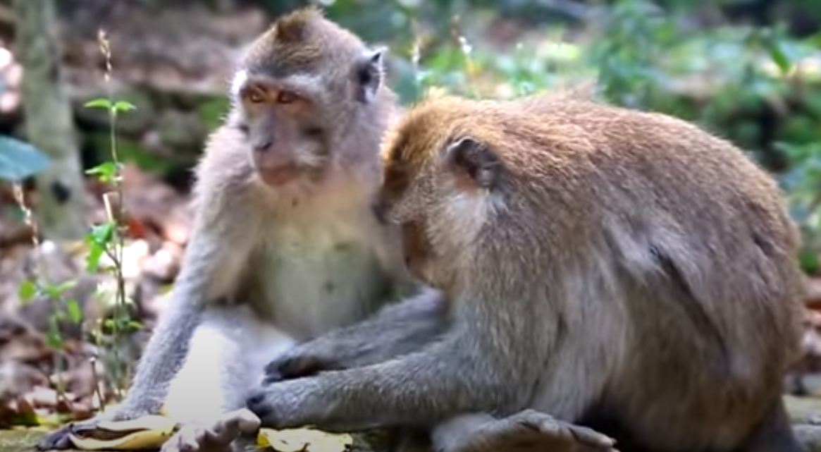 Ежедневный уход за собой.