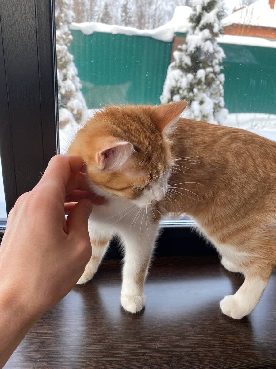 Кто угодно, если он человек...