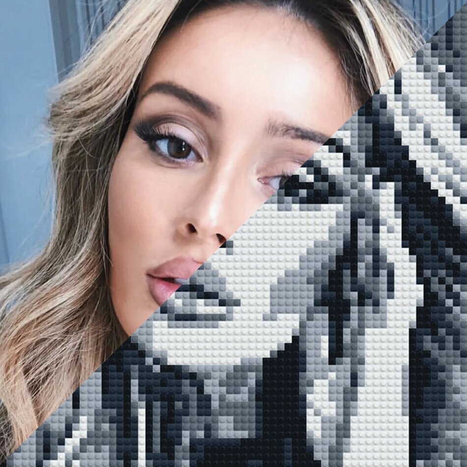 Совет – старайтесь выбирать качественные фотографии с крупными объектами и неоднотонный фоном. Тогда готовая картина получится красивой и четкой 