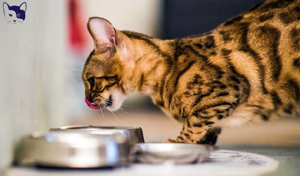 Источник изображения: Яндекс Картинки