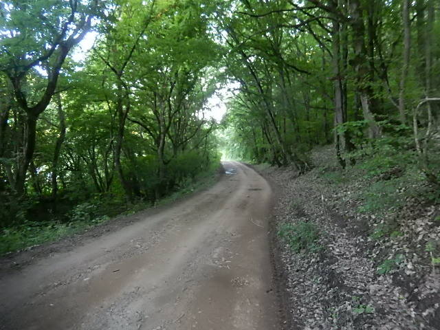 фото из личного архива