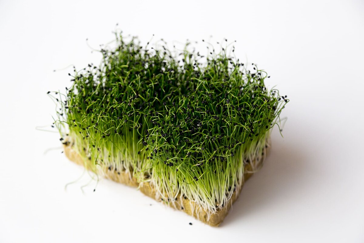 Подложка из крафт бумаги