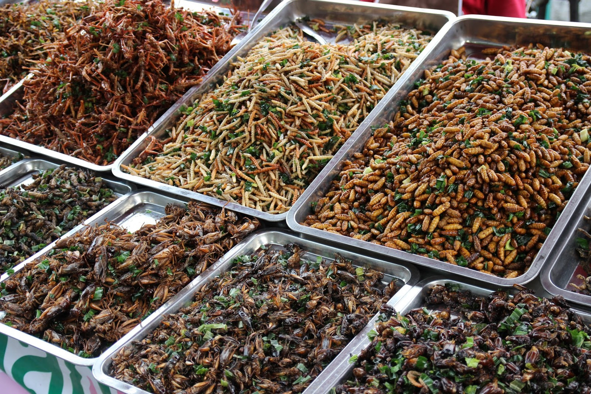 Рынок в Тайланде с насекомыми. Жареные Кузнечики в Тайланде. Тараканы в Тайланде. Жуки Тайланда. Termloto asia