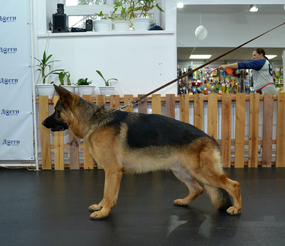 Енар в Догги-центре