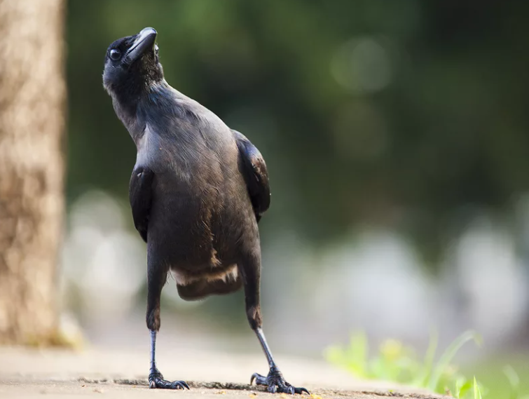 Картинка из сети интернет для иллюстрации