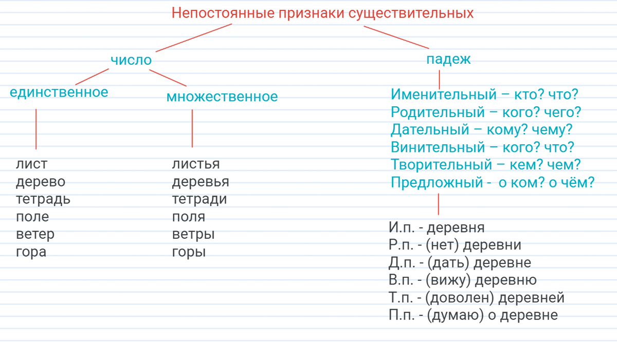 Признаки существительных в русском языке