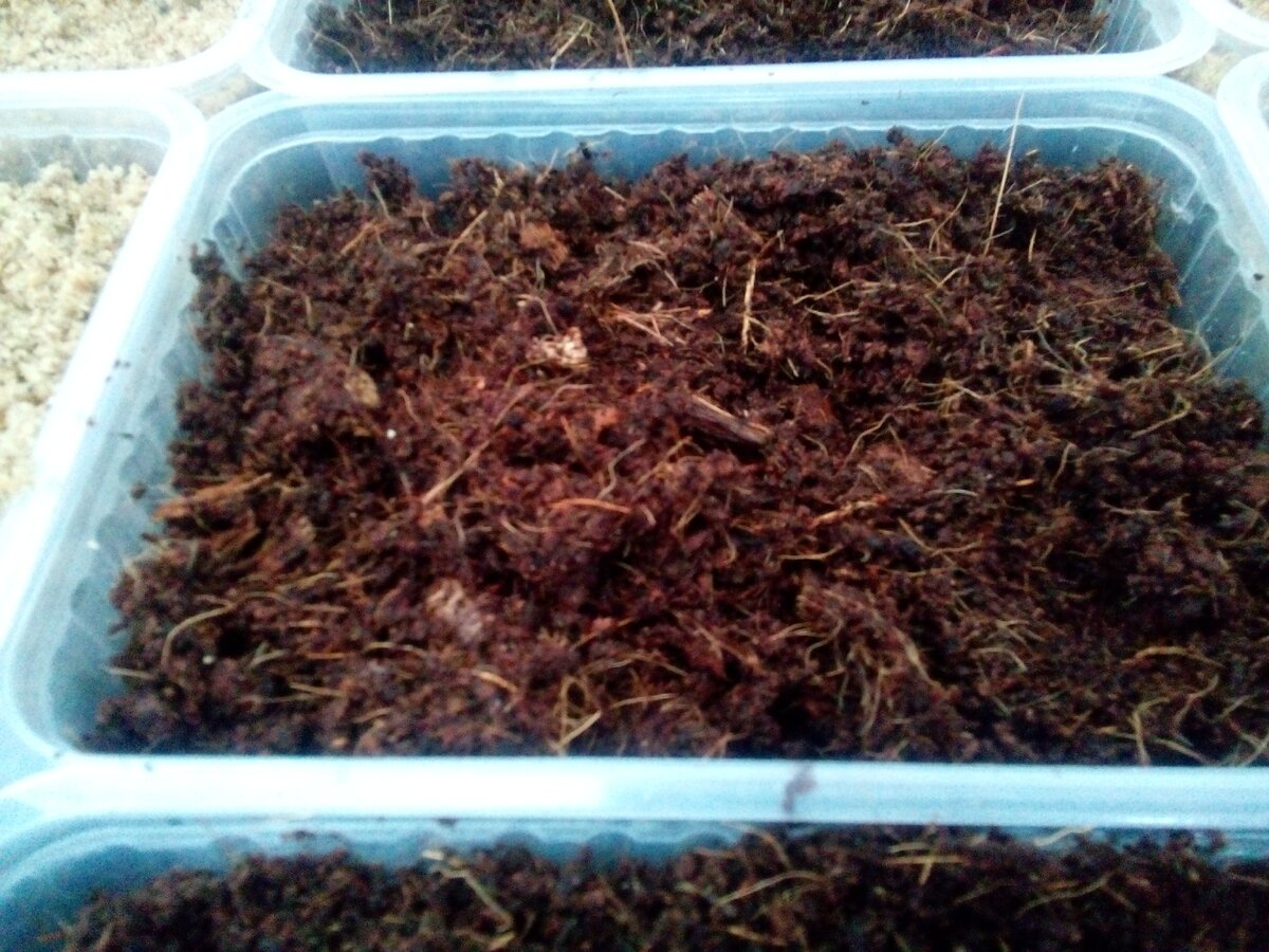 Кокосовый субстрат