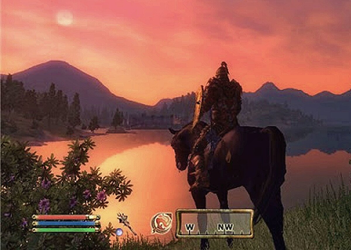 Скрин из игры Oblivion 