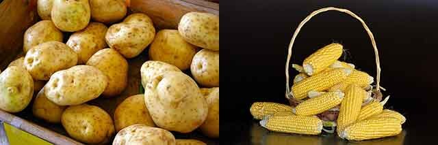 Фото pixabay.com