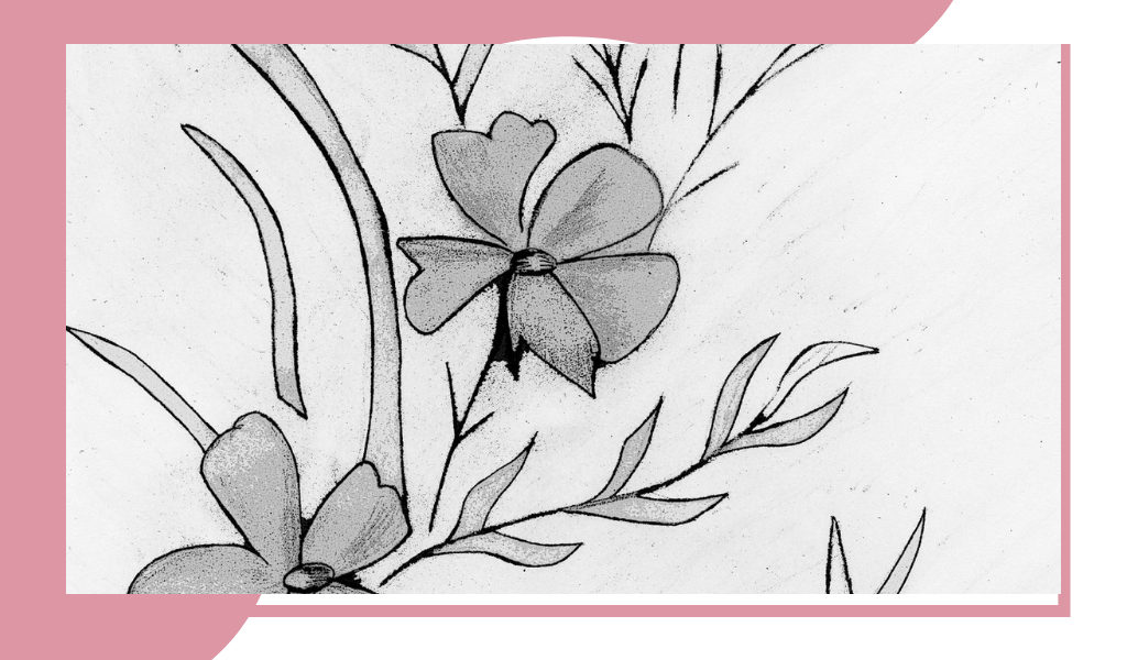 Рисунок из открытых источников