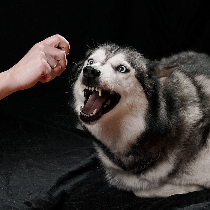 Фото из семейного архива автора