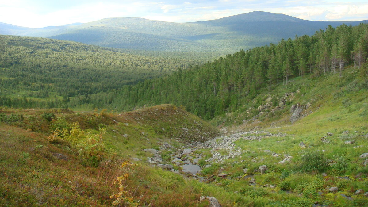 Правая сторона русла Четвёртого притока. Ручеёк еле видно. Но всё это его работа. Когда-то давно поток был очень мощный. На заднем плане правее Пумсальнель, В левом углу склон Отортена. Фото из открытого доступа.