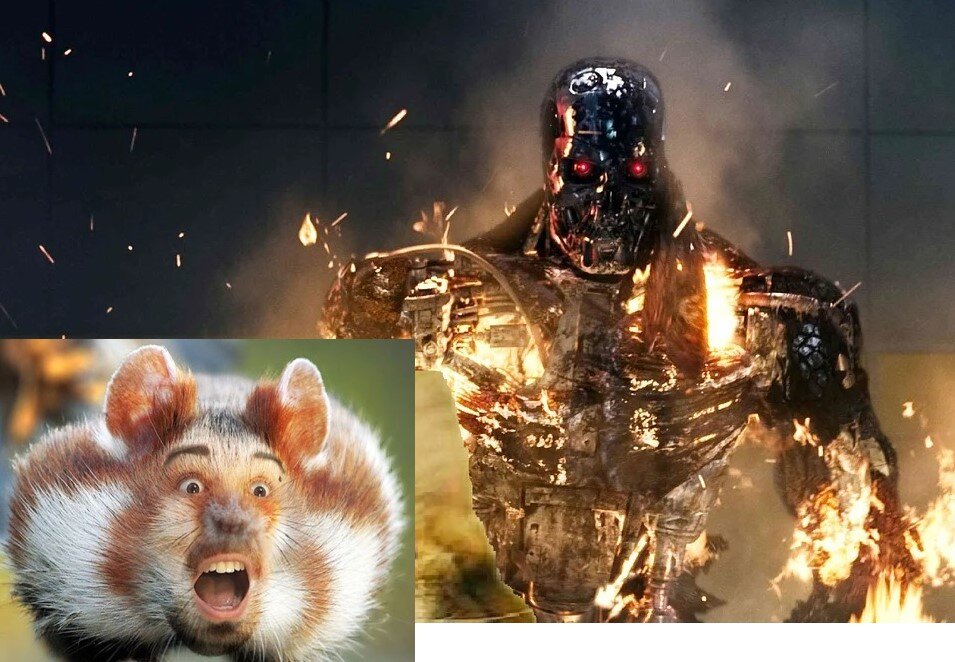 Час пробил!!!