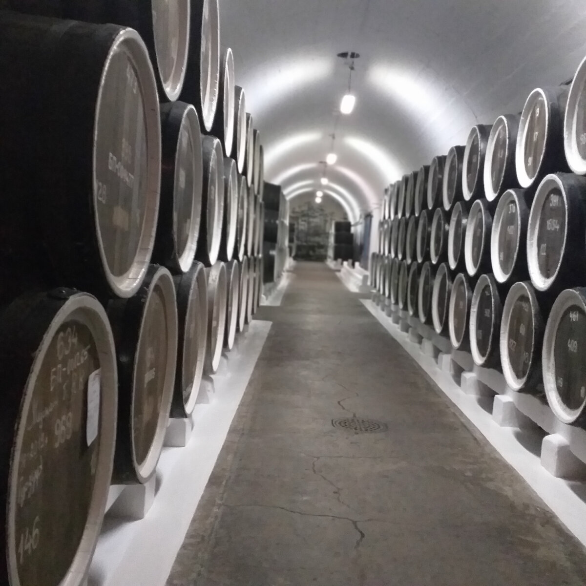 Бочки с вином. Фото автора