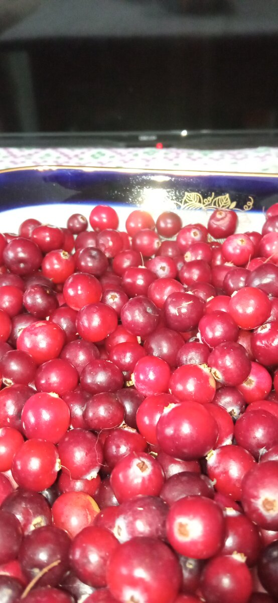 Я просто завариваю с ней чай! В тэрмосе с душицей и смородиной!!! 