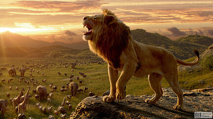 Основная характеристика Львов - независимость. 