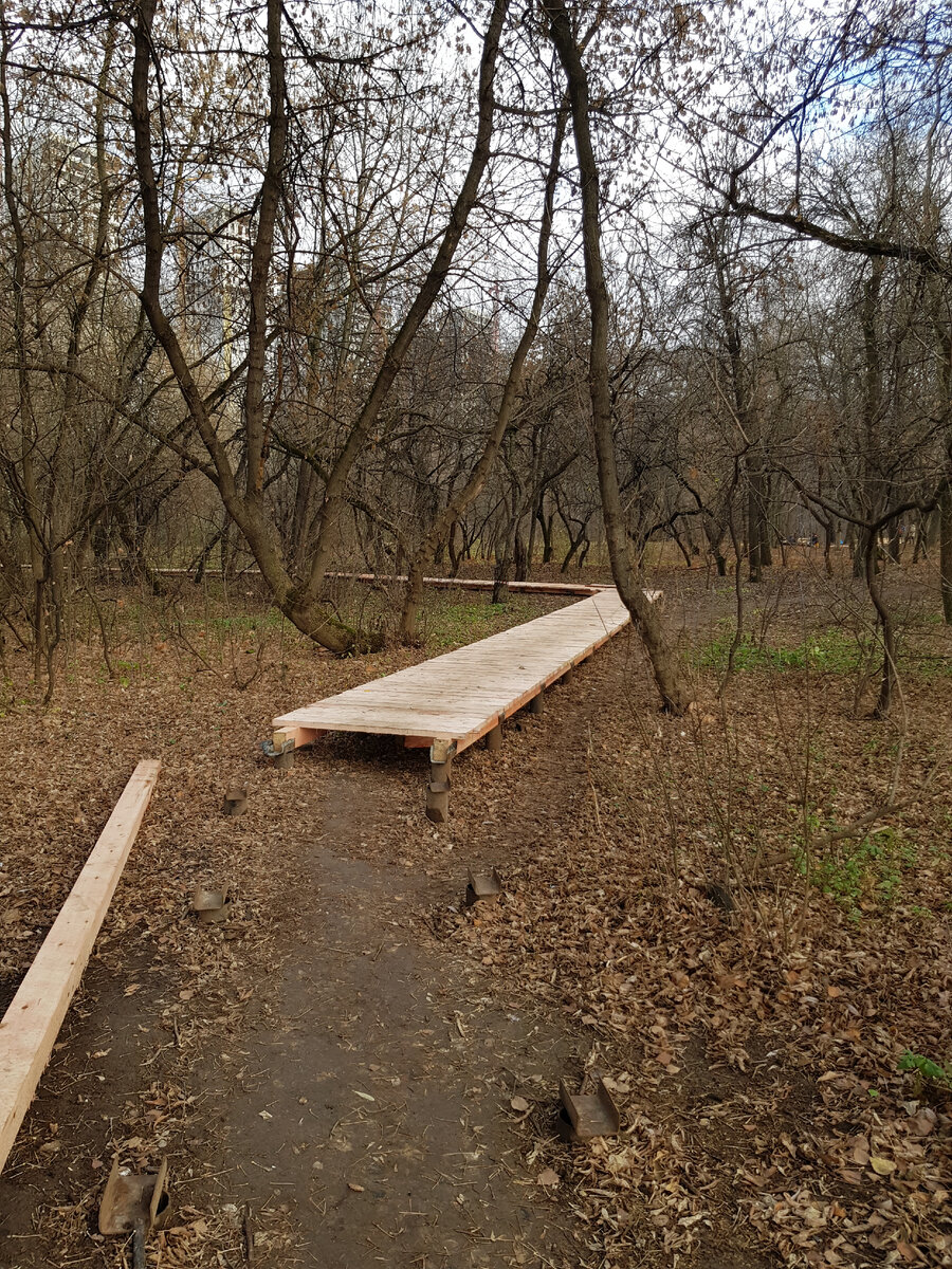 Пока так - зато чисто)))