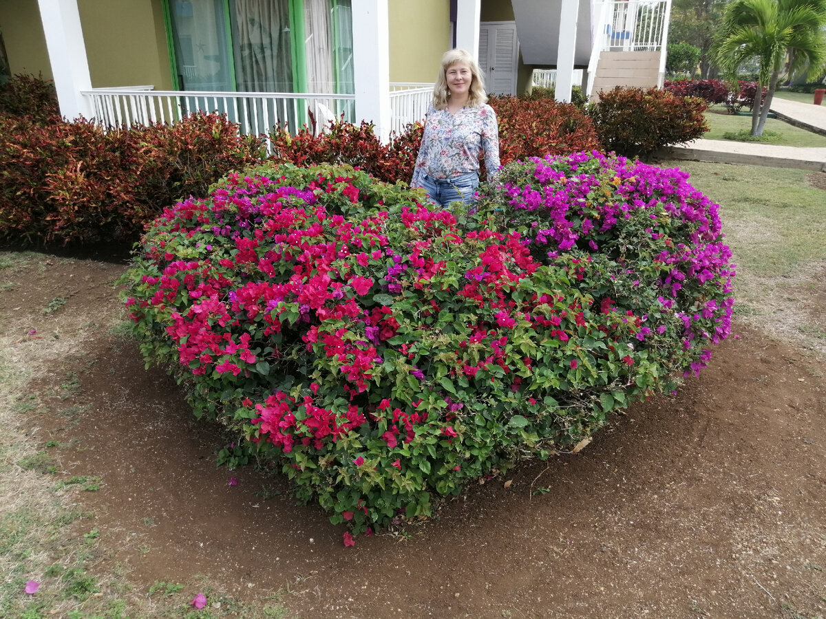 На фото автор стихотворения