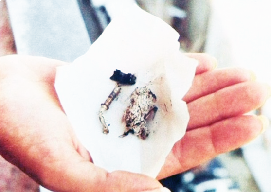 Возможные детали с места событий