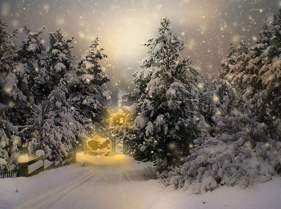 Яндекс. Картинки