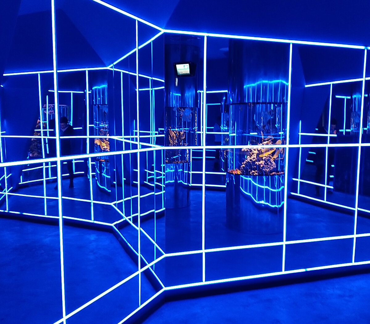 Центр океанографии, выставка морских рыб, фото автора