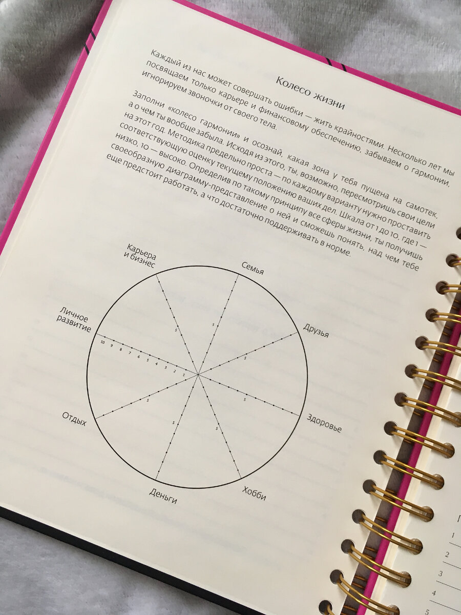 Колесо баланса. В прошлом году здорово помогло мне понять, чему стОит уделить больше внимания. Советую видео Марьяны PlanMe об этой системе.