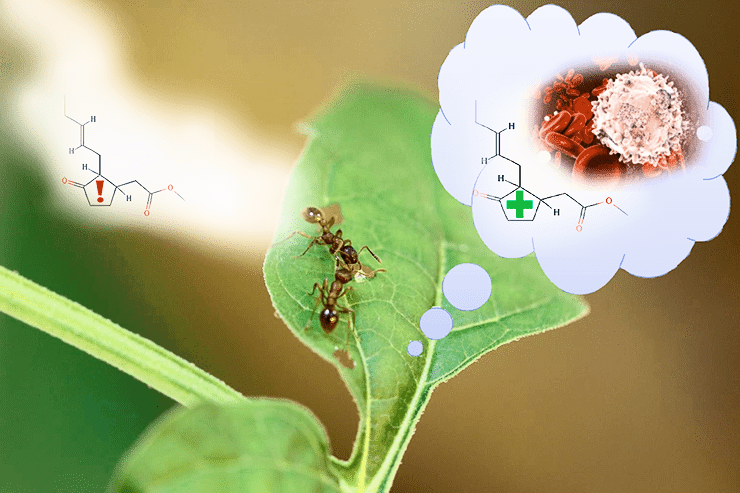 сухая биология